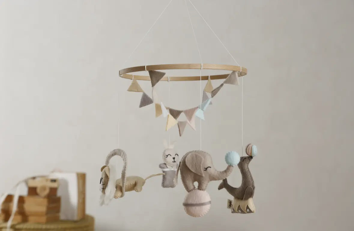 Baby unrest circus